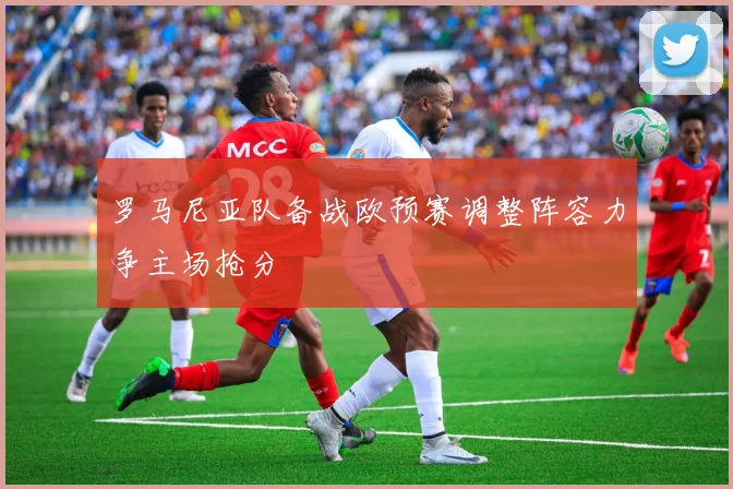 罗马尼亚队备战欧预赛调整阵容力争主场抢分