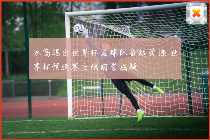 冰岛退出世界杯后球队备战受挫 世界杯预选赛出线前景成疑