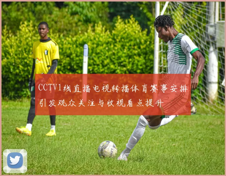 CCTV1线直播电视转播体育赛事安排引发观众关注与收视看点提升